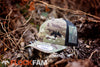 MultiCam Trucker hats